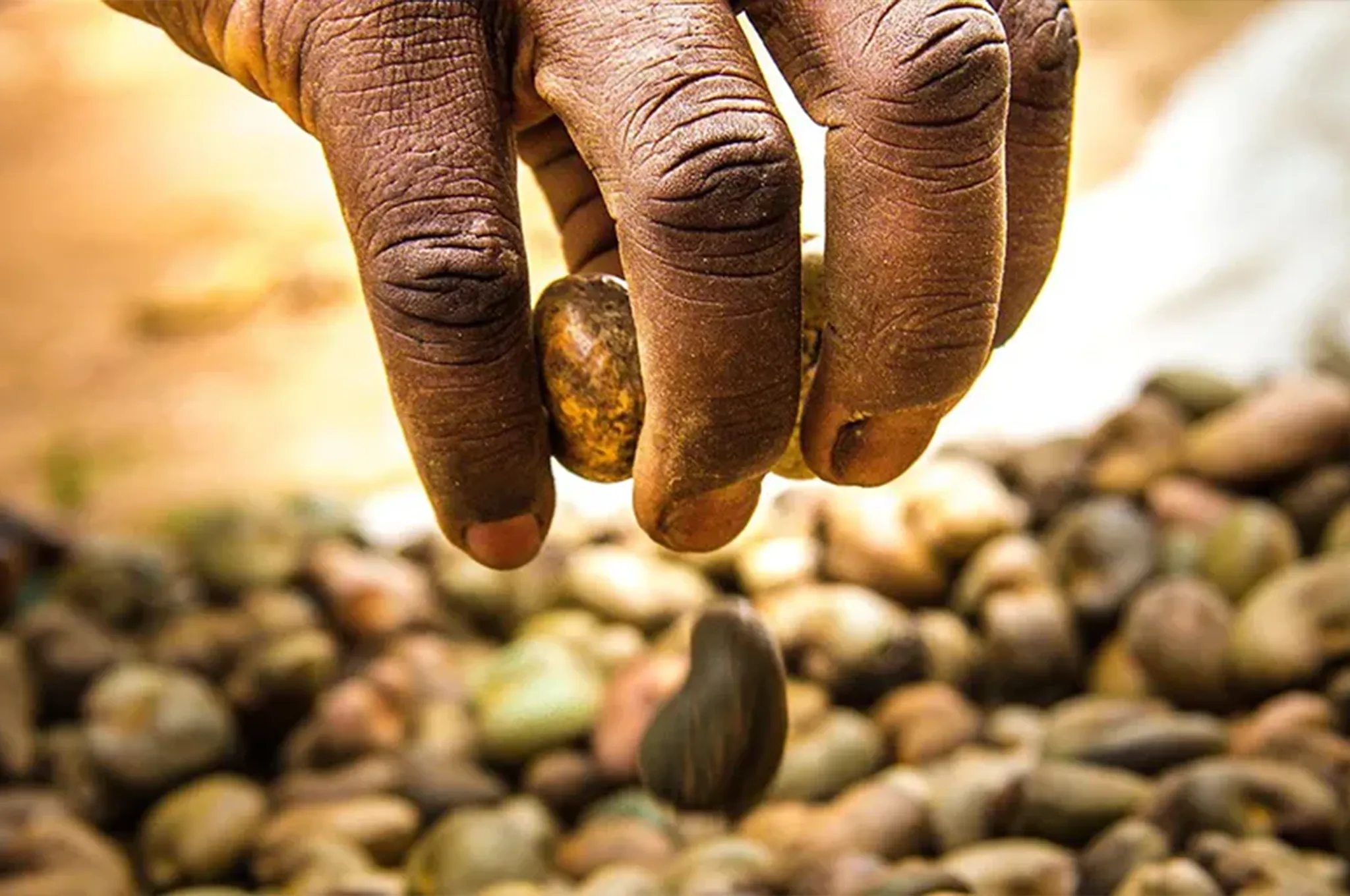 Arbeitsfeld nachhaltige Wertschoepfung titelbild 2